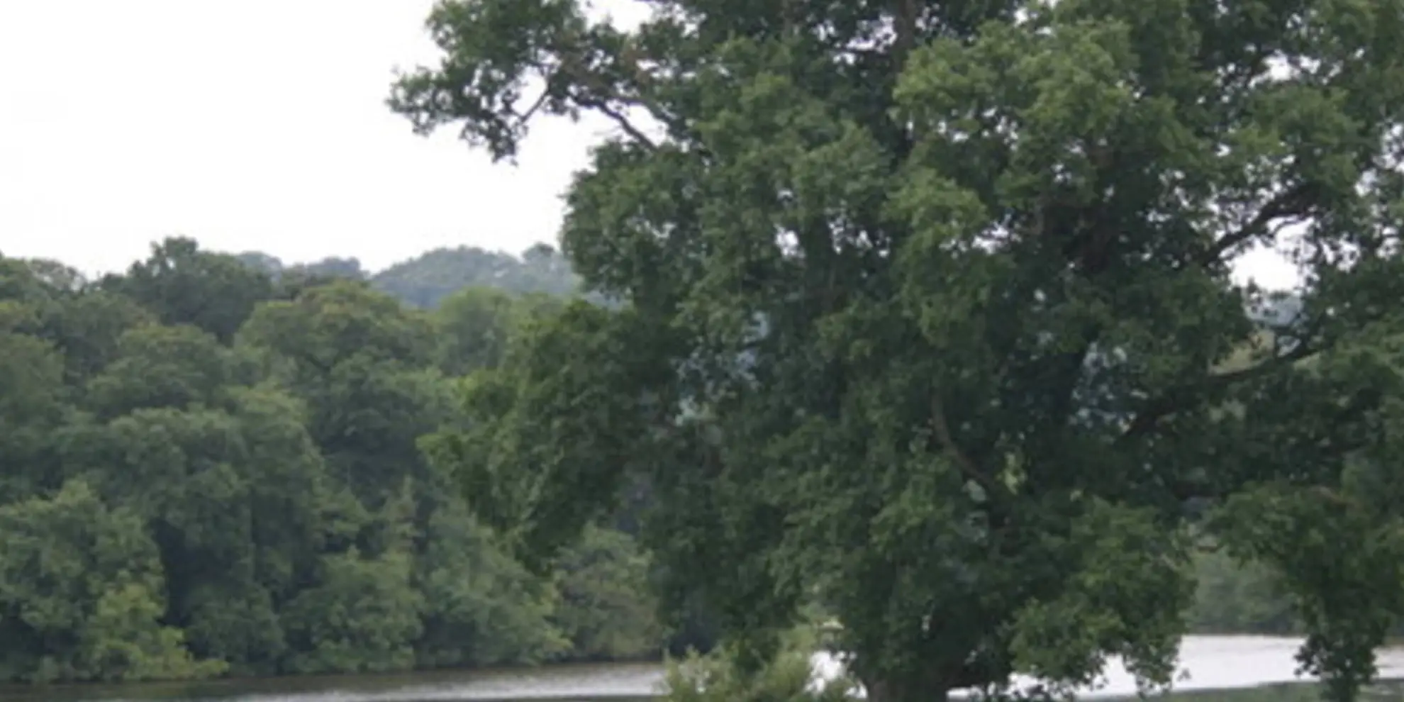 An image depicting the trail The Parkland and Lakeside Walk and its surrounding area.