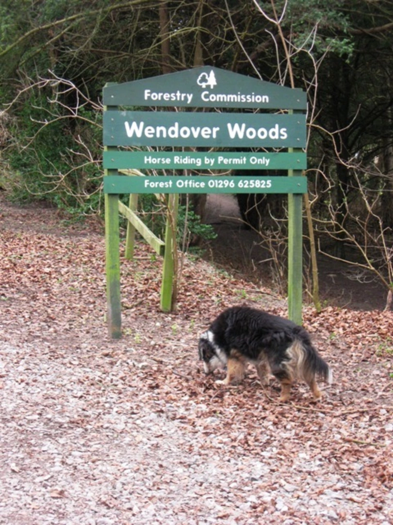 An image depicting the trail Haddington Hill Loop and its surrounding area.