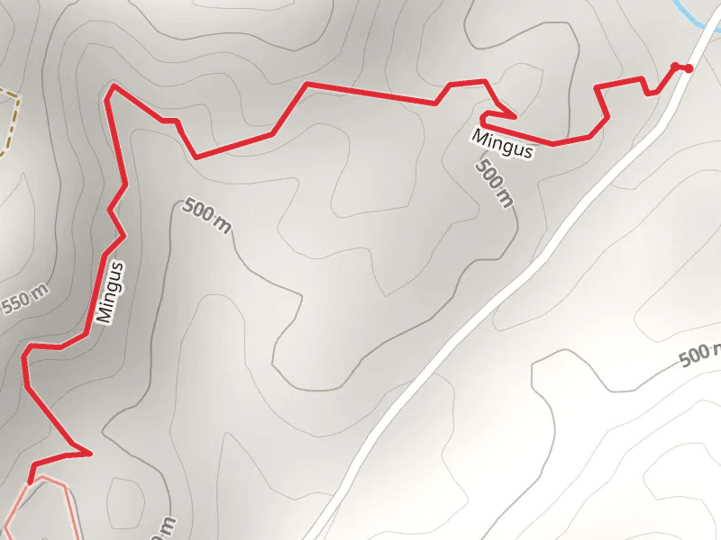 Mingus Trail