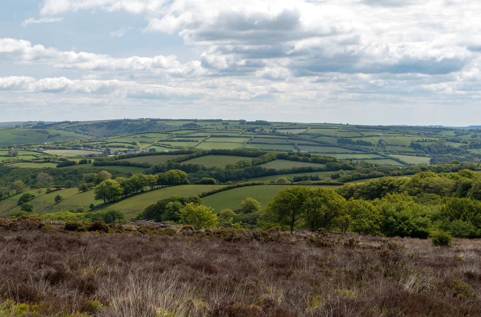 An image depicting the trail Beacon Hill, Lady's Edge, Black Ball Hill and Bicknoller Combe Loop and its surrounding area.