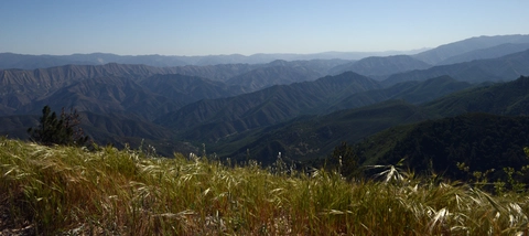 Figueroa Mountain Road Walk