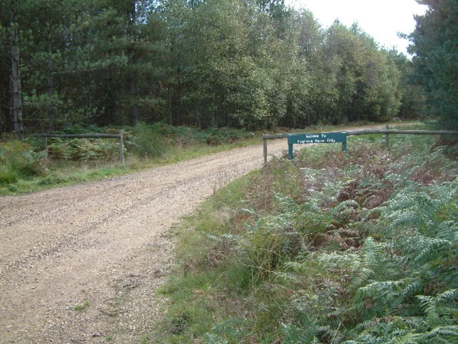Barnsfield Heath Walk
