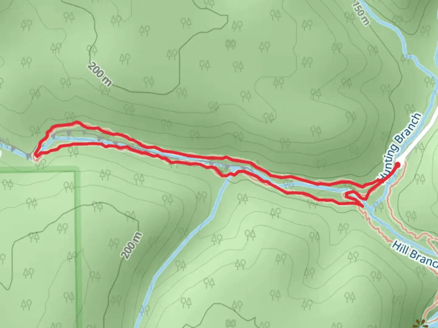 An image depicting the trail Mill Branch Loop Trail and its surrounding area.