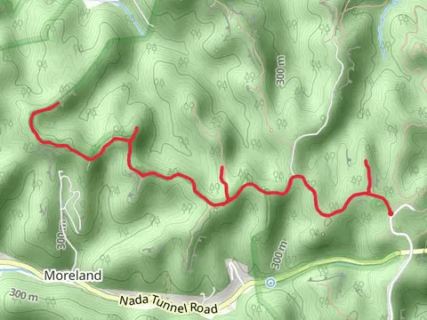 Double Arch Trail