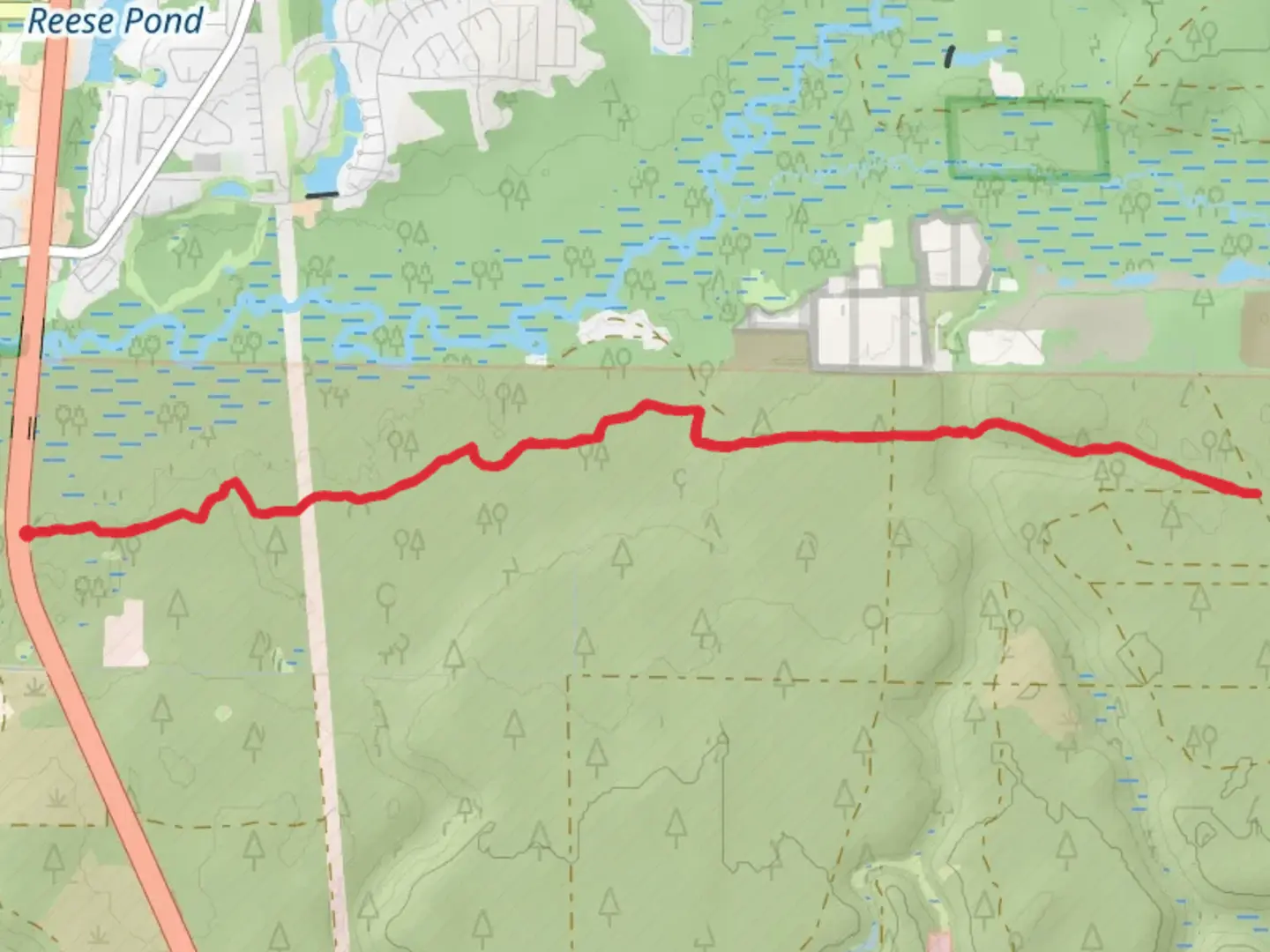 An image depicting the trail Pearl Creek- Florida Trail and its surrounding area.