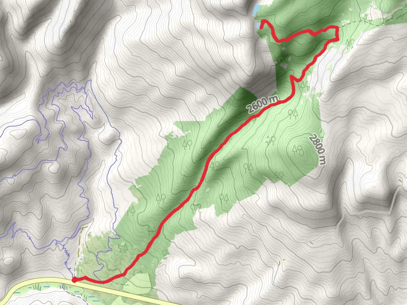Yellow Pine Trail