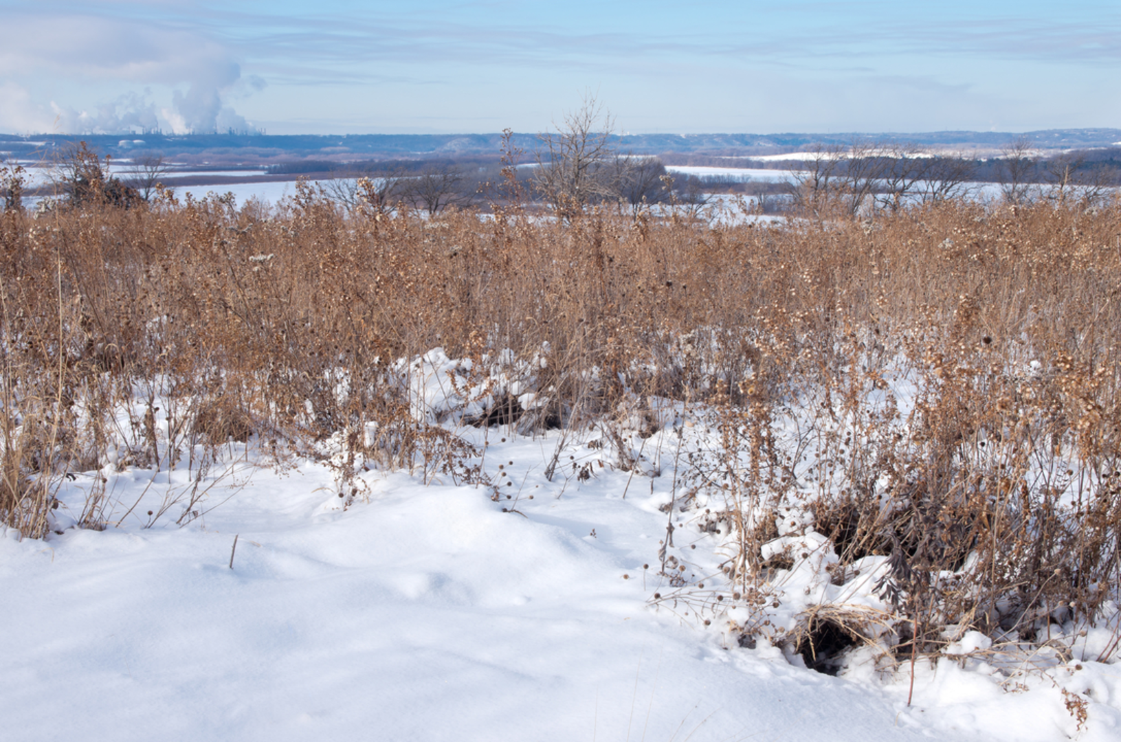 An image depicting the trail Spring Lake Park Reserve Community Garden Loop - East and its surrounding area.