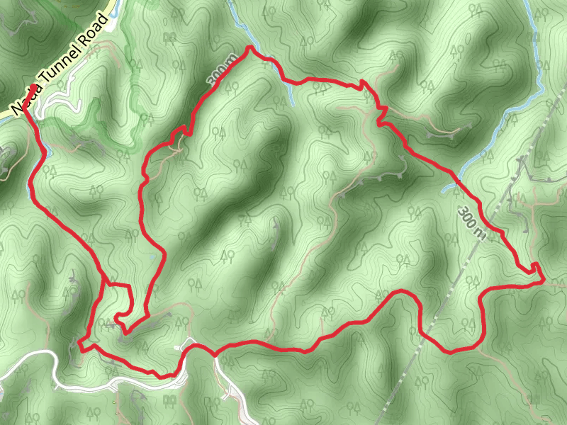 Rough Trail and Sheltowee Trace Trail Loop