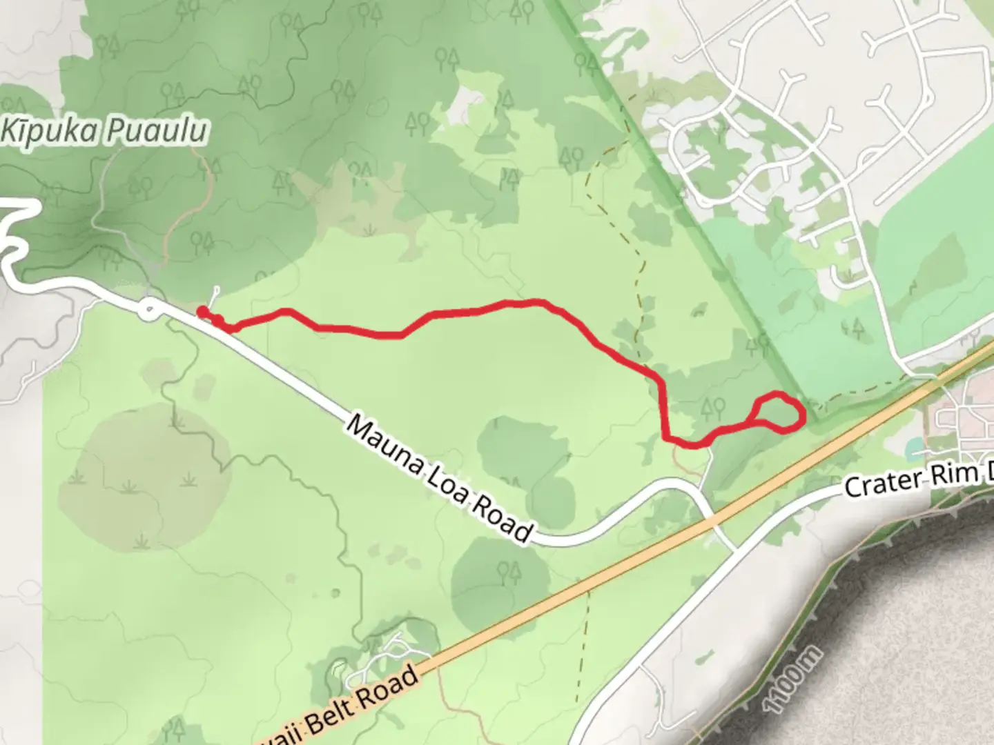 Lava Tree Molds Walk | Hawaiʻi County | Hawaii