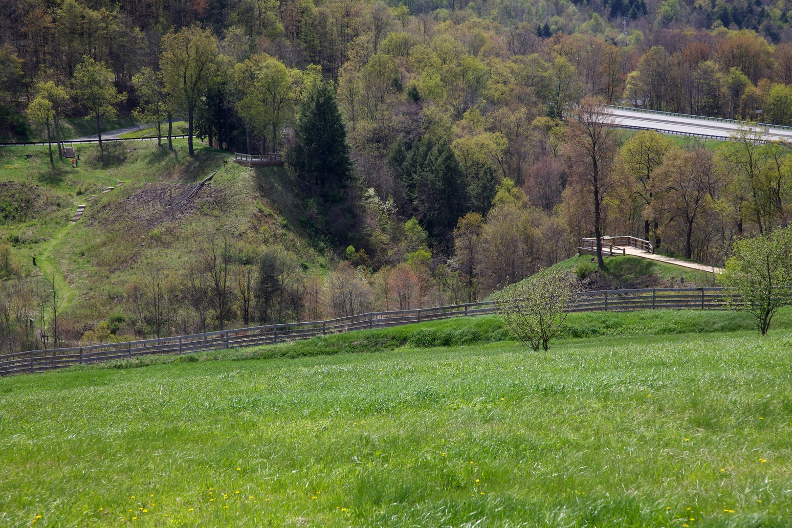 An image depicting the trail Path of the Flood Trail and its surrounding area.