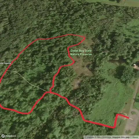 Cedar Bog Nature Preserve Loop
