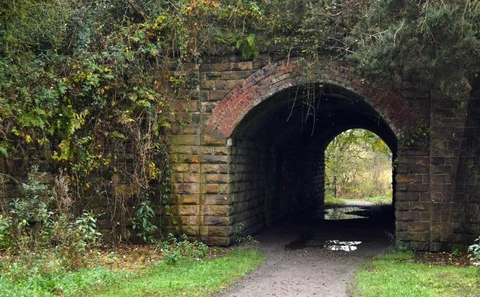 Prestwich Forest Park Loop