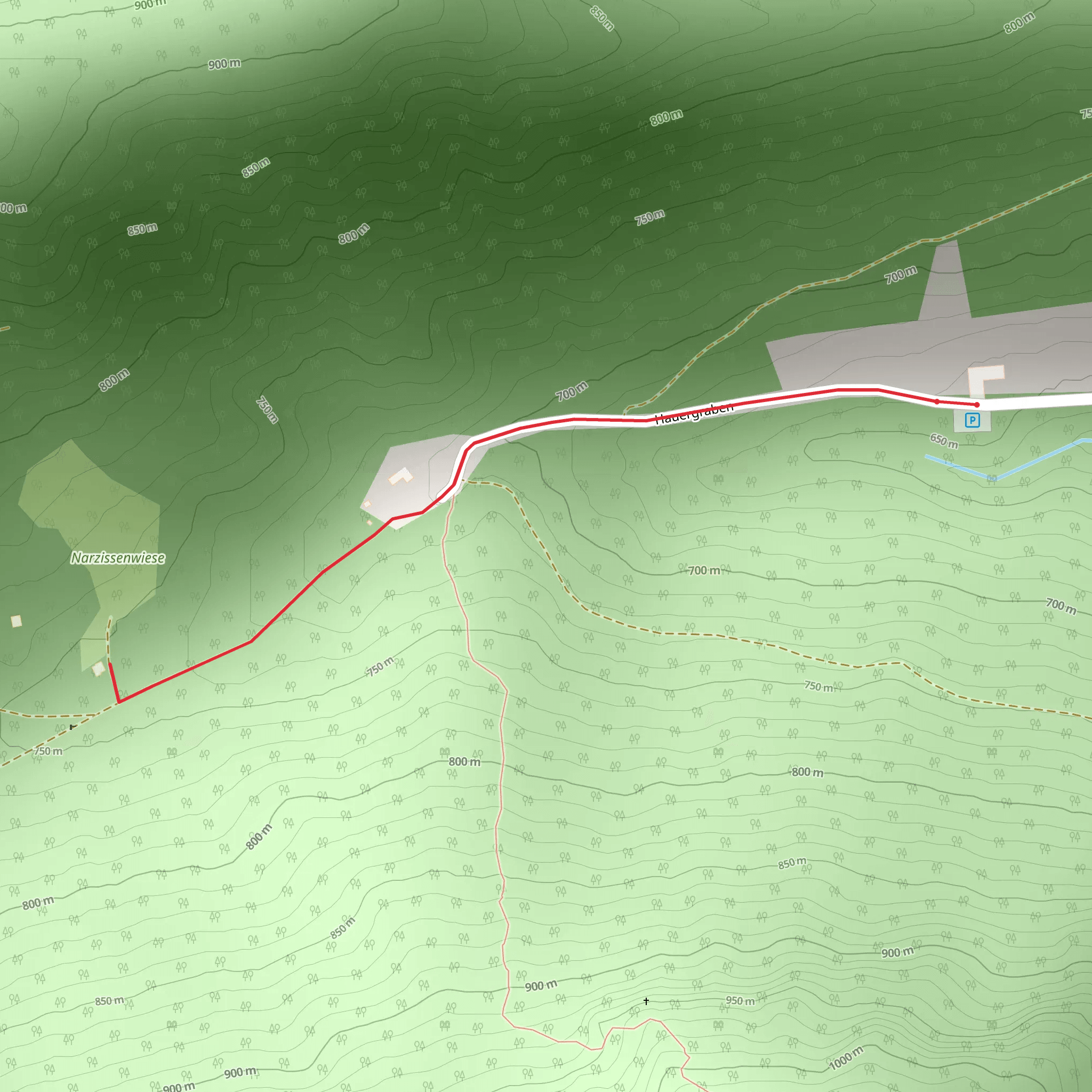 Daffodil Meadow in the Hauergraben mobile static map
