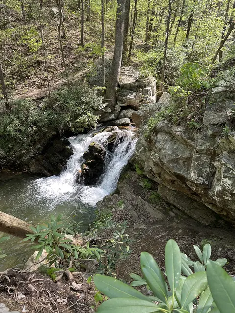 Gee Creek