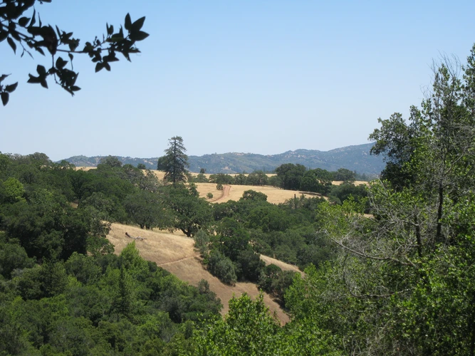 Gilroy Hot Springs Road, Jackson, Elderberry Spring and Grizzly Gulch Loop Trail