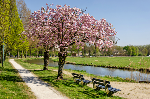 Het Lint - De Meern and het Zand Loop