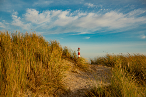 WaddenWandelen - Ameland and Strandroute Loop