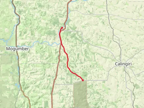 Pilgrim Trail