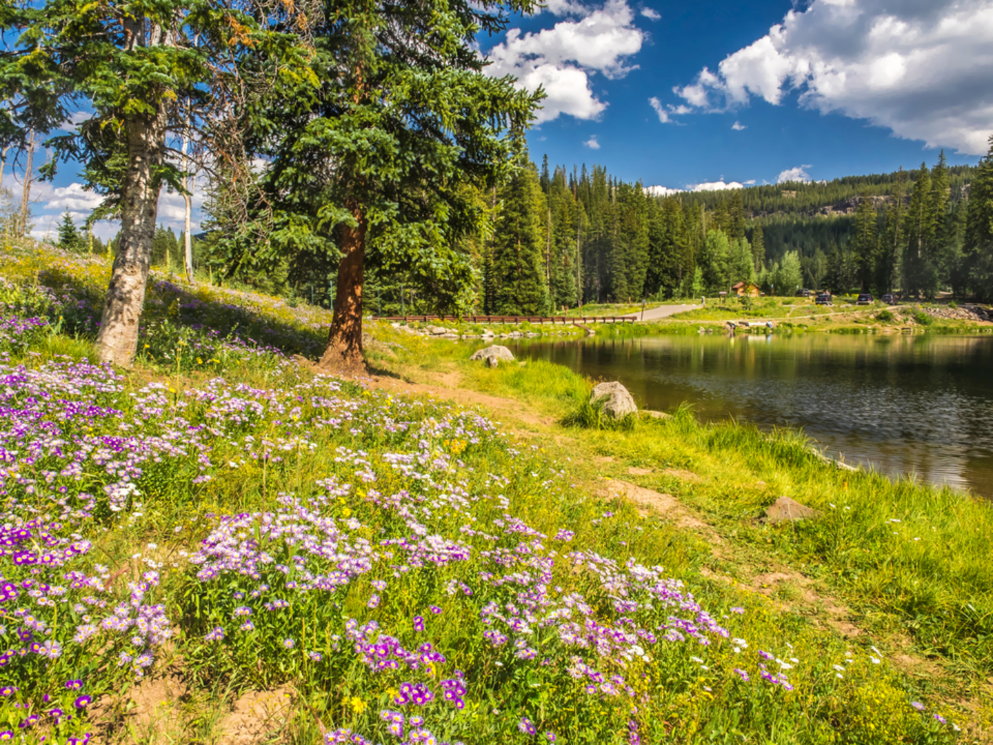 An image depicting the trail Crum Reservoir Trail and its surrounding area.