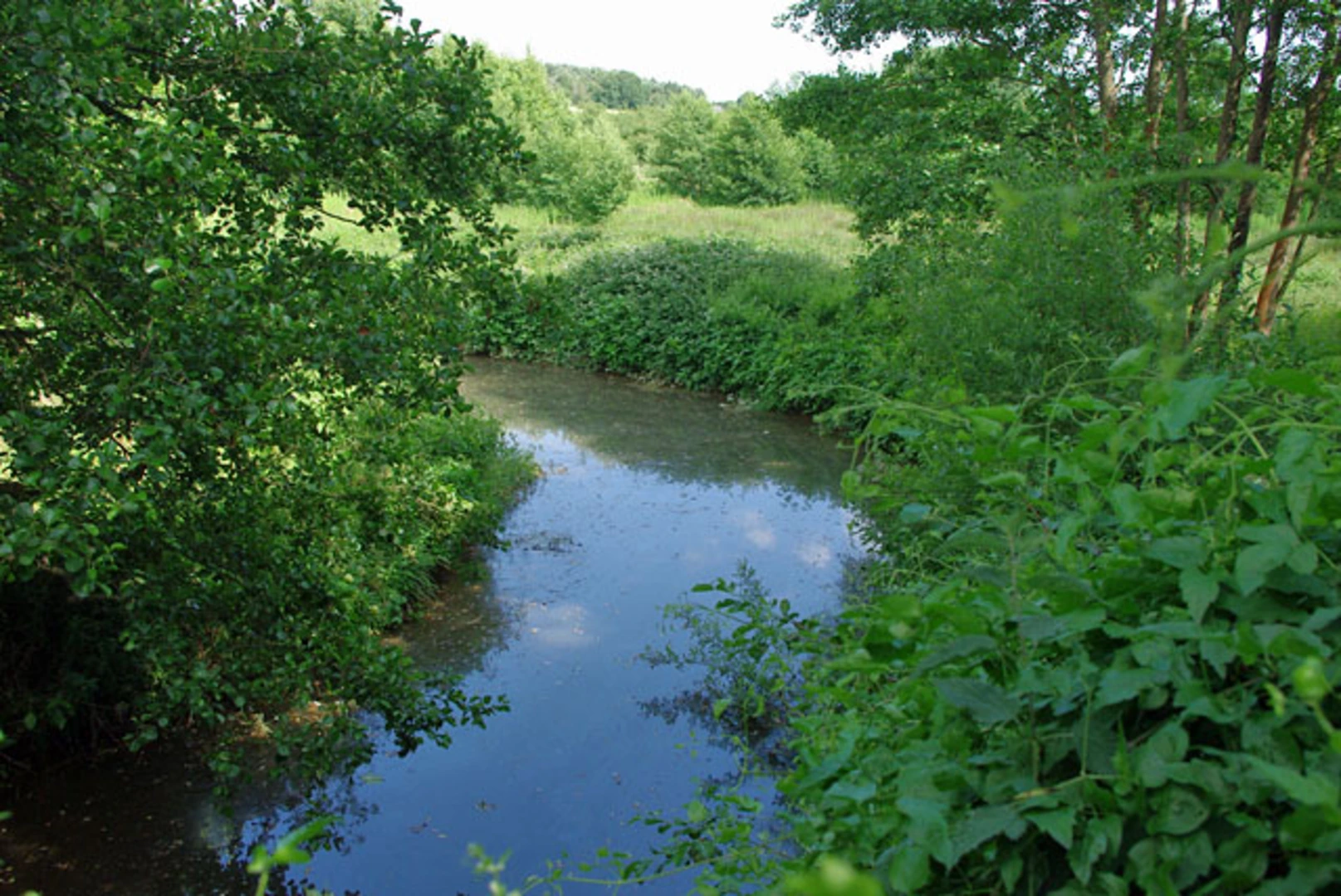 An image depicting the trail Hellingly Loop and its surrounding area.