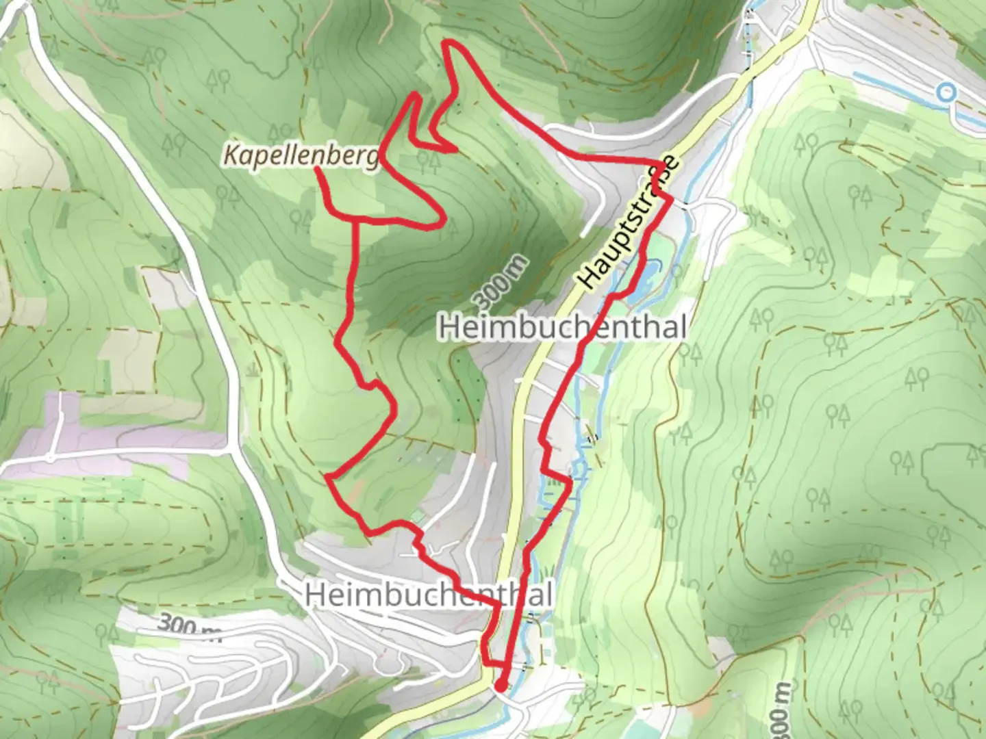 An image depicting the trail Kurpark via Wiesenweg and its surrounding area.