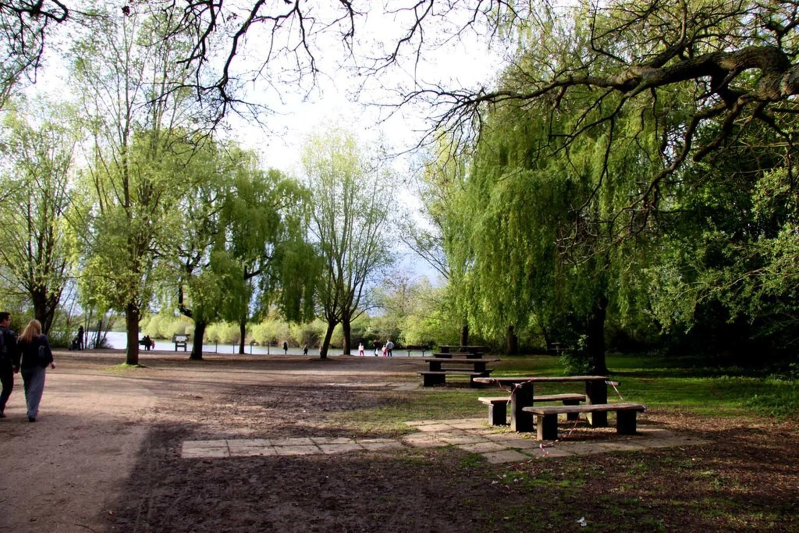 An image depicting the trail Dinton Pastures Country Park Loop and its surrounding area.