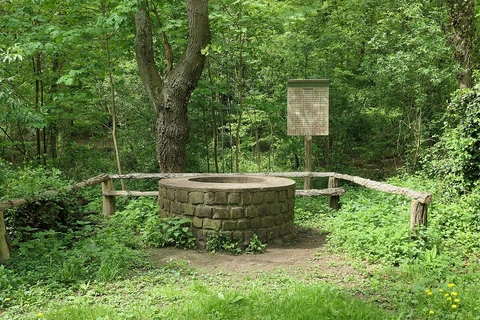 Dossenwald Rundweg