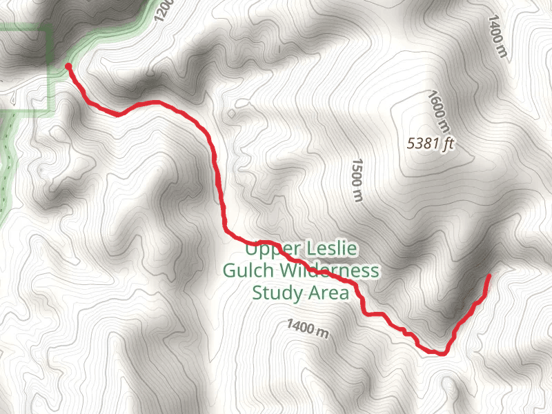 Upper Leslie Gulch Trail