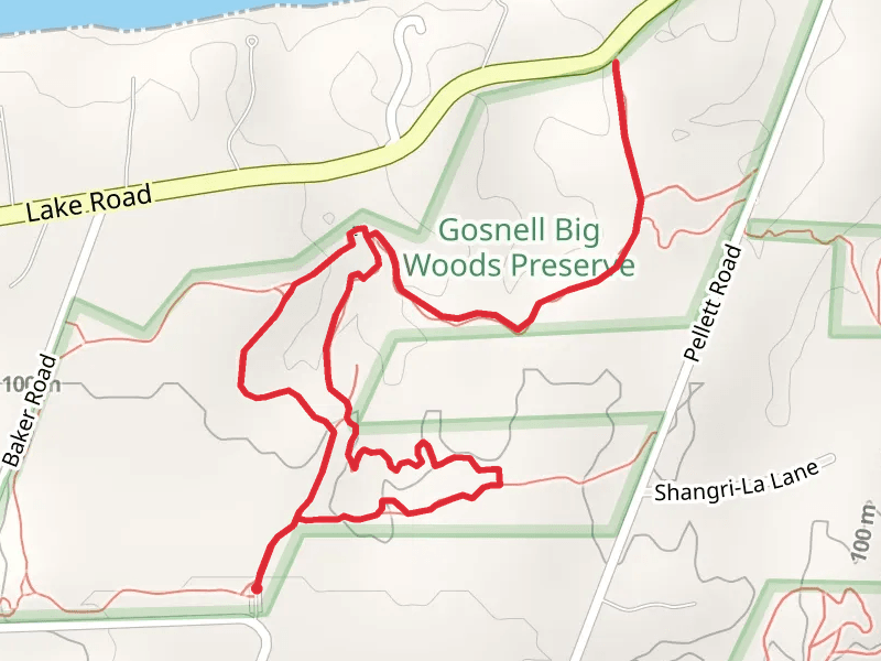 Big Wood Trail and Big Fields Trail Loop