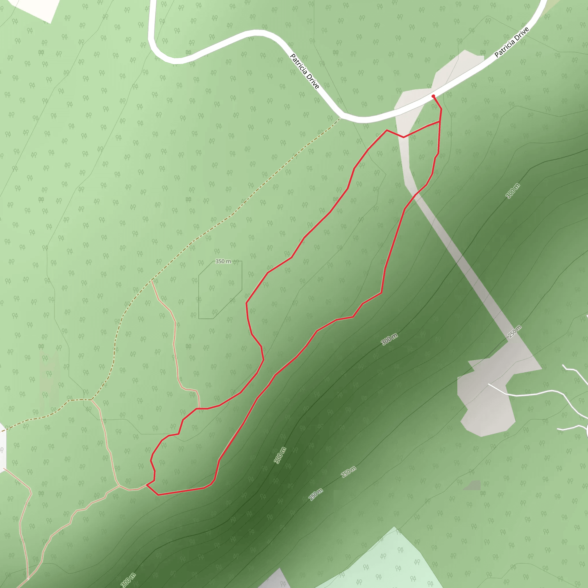 Patricia Drive Loop - South mobile static map