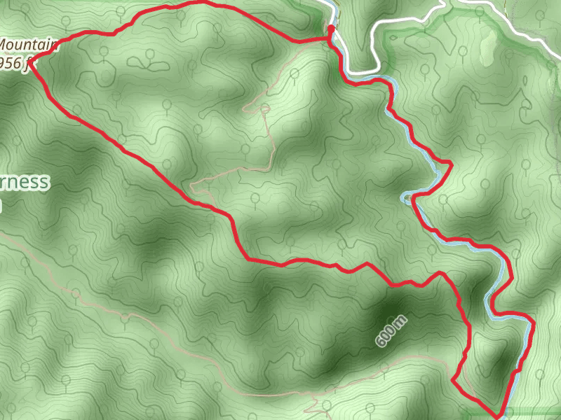 Timber Ridge Loop Trail