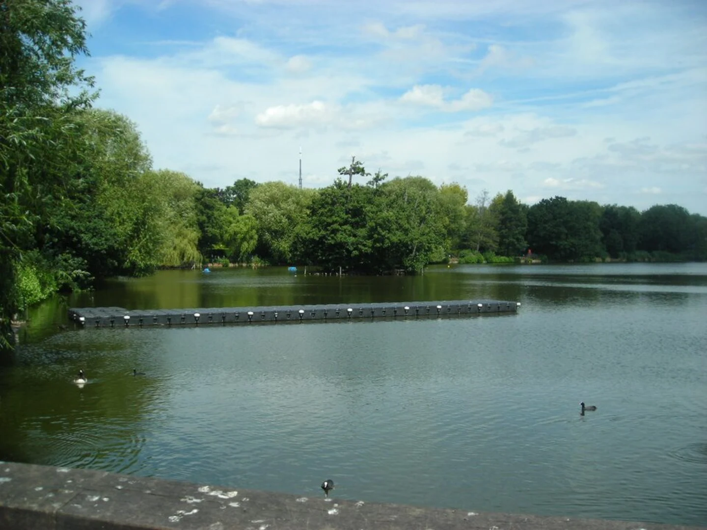 An image depicting the trail South Norwood Lake Loop and its surrounding area.