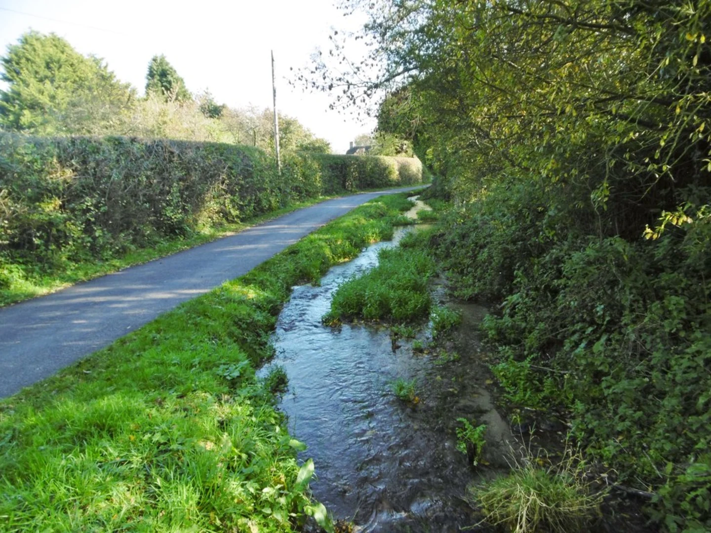An image depicting the trail Eastfield Hill Loop and its surrounding area.