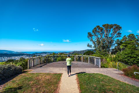 Te Ahumairangi Ridgeline Track