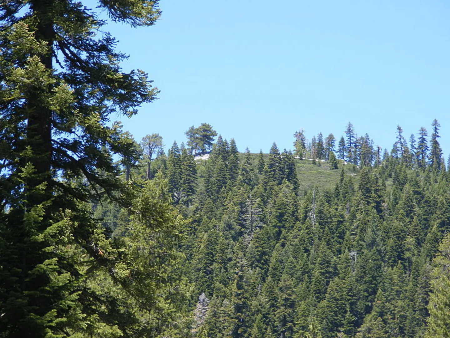 An image depicting the trail Chapman Creek Trail and its surrounding area.