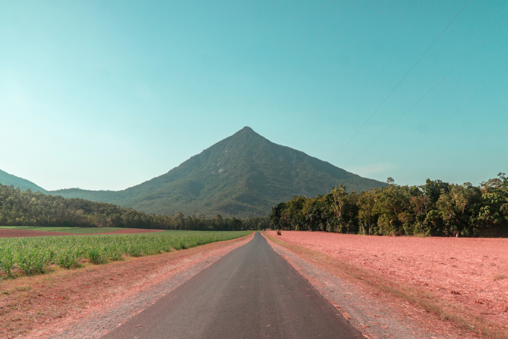 An image depicting the trail Mount Walshs Pyramid Track and its surrounding area.