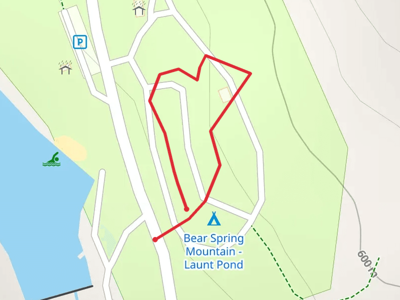 Bear Spring Mountain Campground Loop