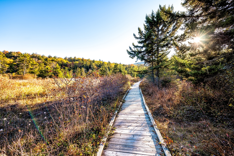 Charles Creek Trail