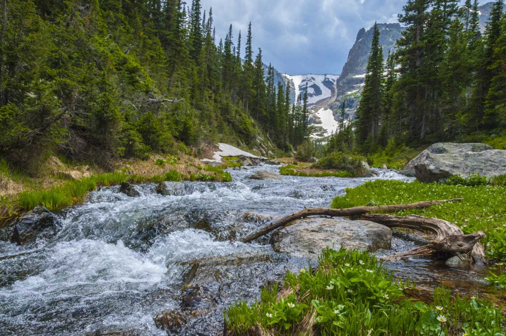 An image depicting the trail Fern Falls Trail and its surrounding area.