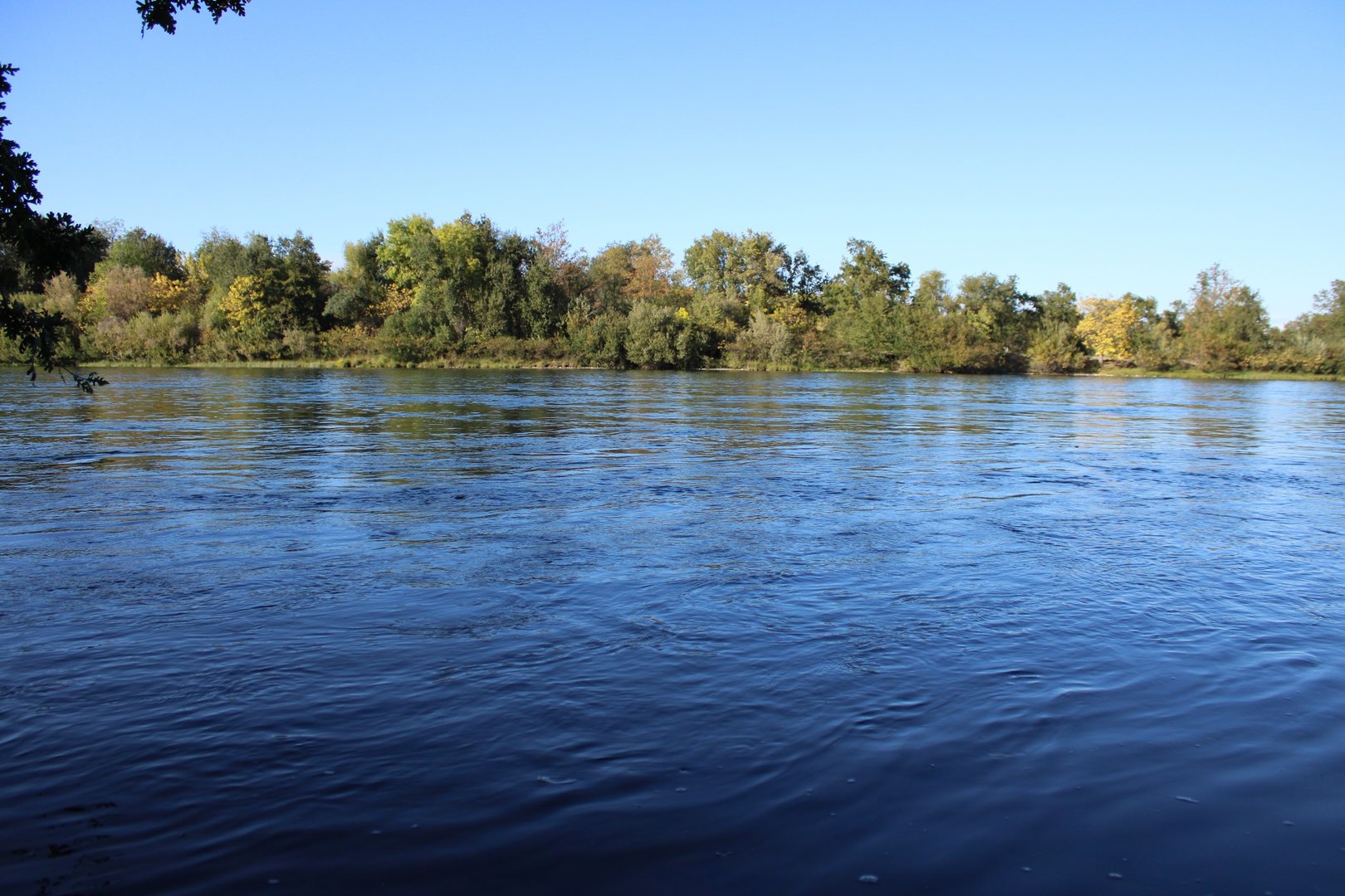 An image depicting the trail Anderson River Park Loop - West and its surrounding area.