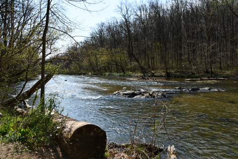 Gunpowder Falls via Sawmill Trail, Lost Pond Trail and Sweathouse Trail
