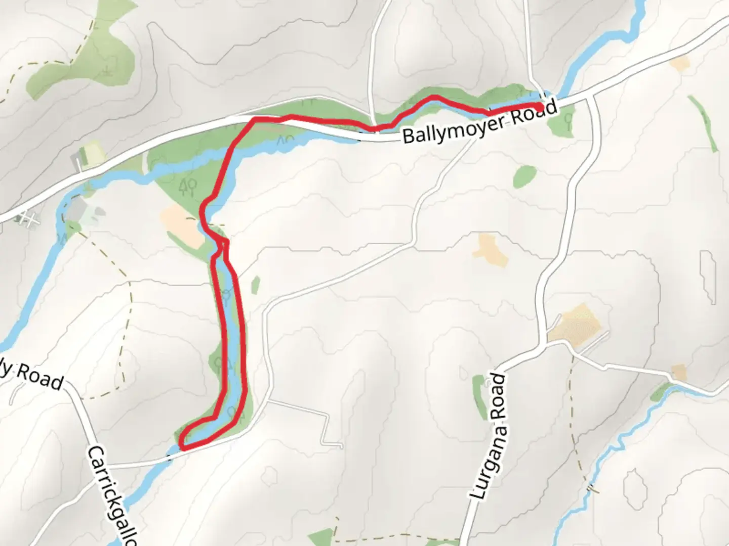 An image depicting the trail Ballymoyer Woodland and its surrounding area.