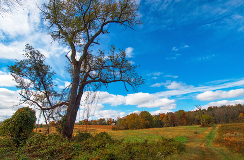 John James Audubon Center at Mill Grove Loop