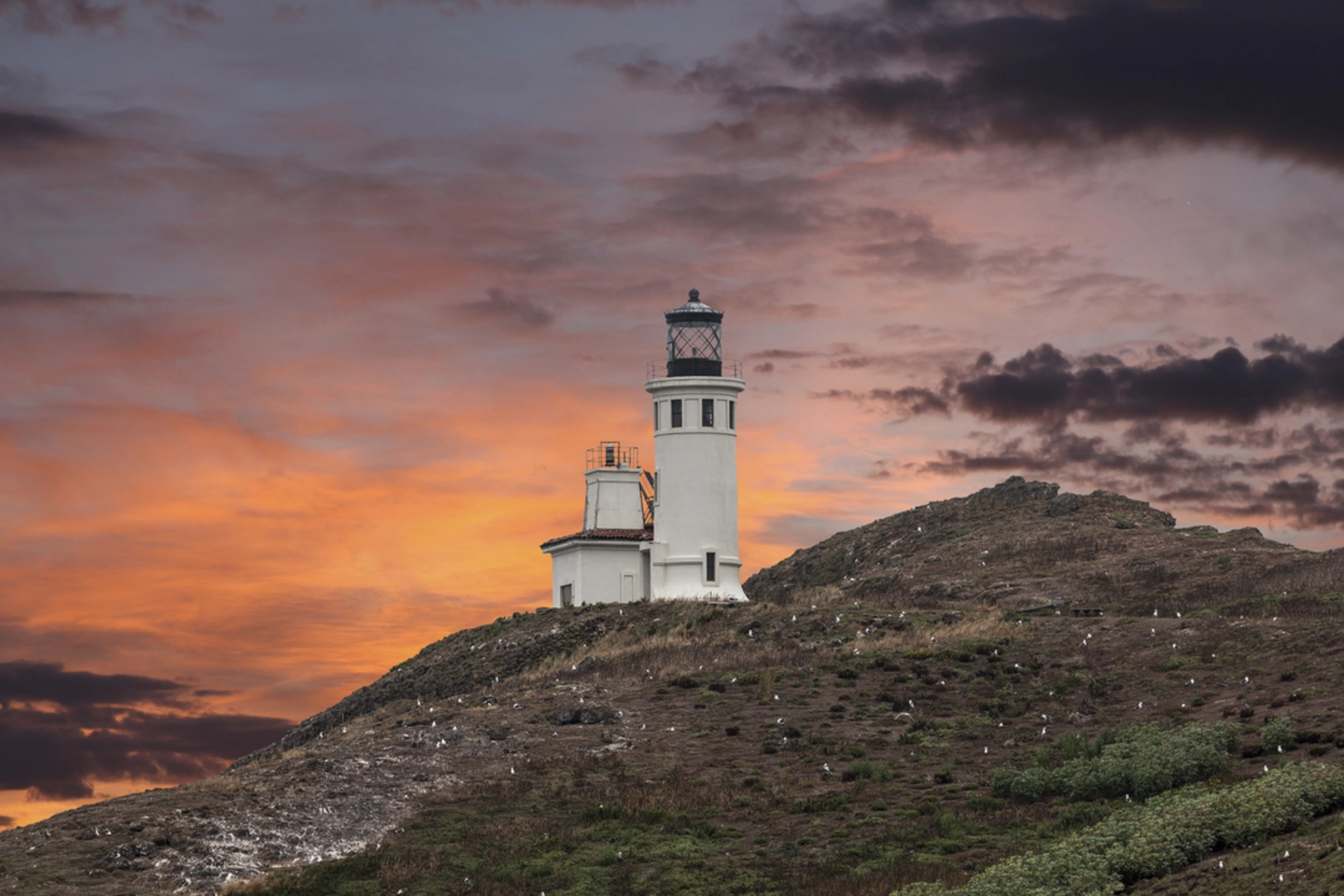 An image depicting the trail Lighthouse Trail and its surrounding area.