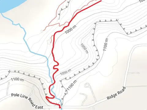 Pole Line Road East
