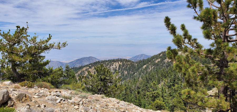 Sawmill Mountain and Mount Pinos