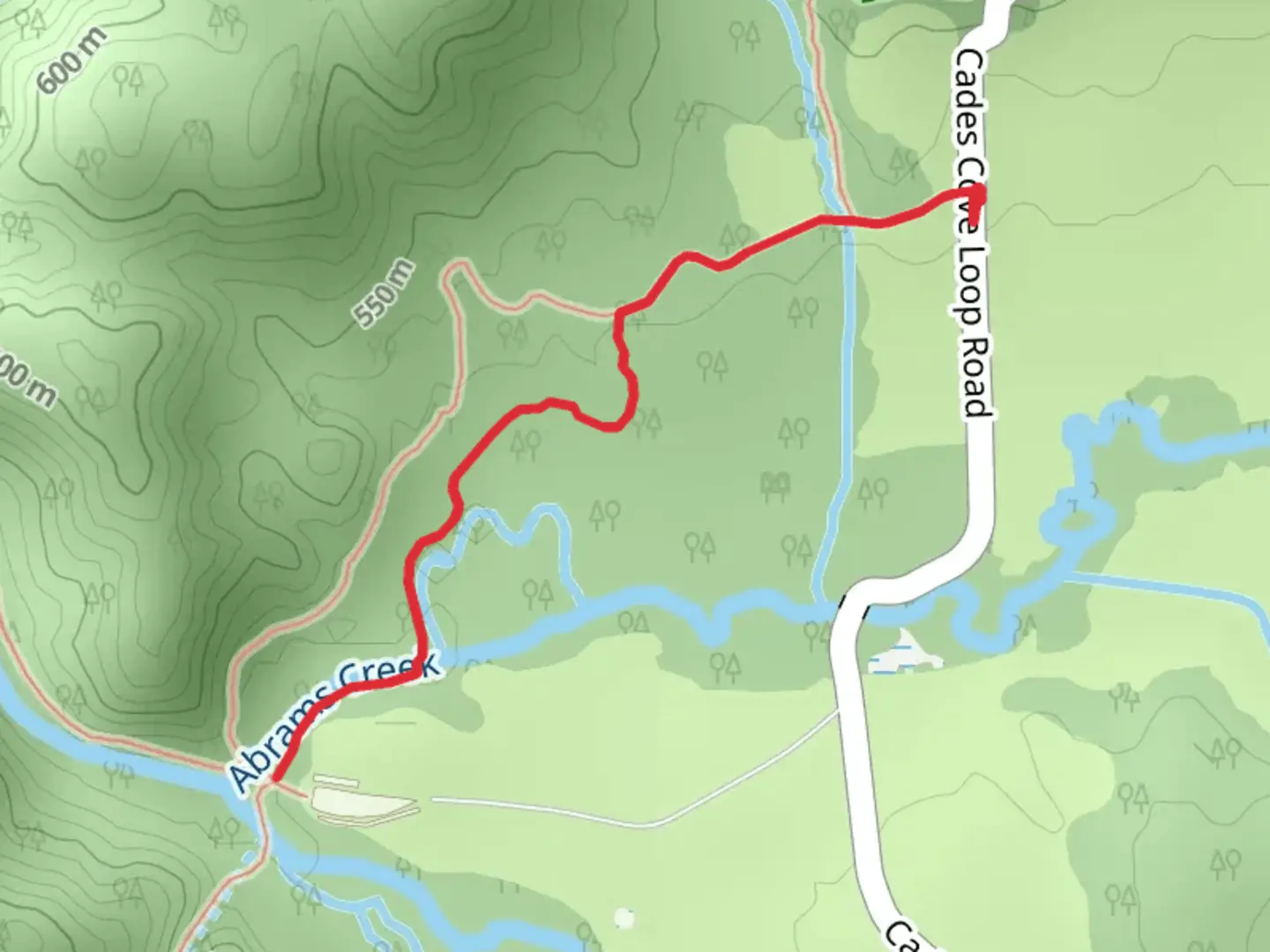 An image depicting the trail Abrams Creek via Wet Bottom Trail and its surrounding area.
