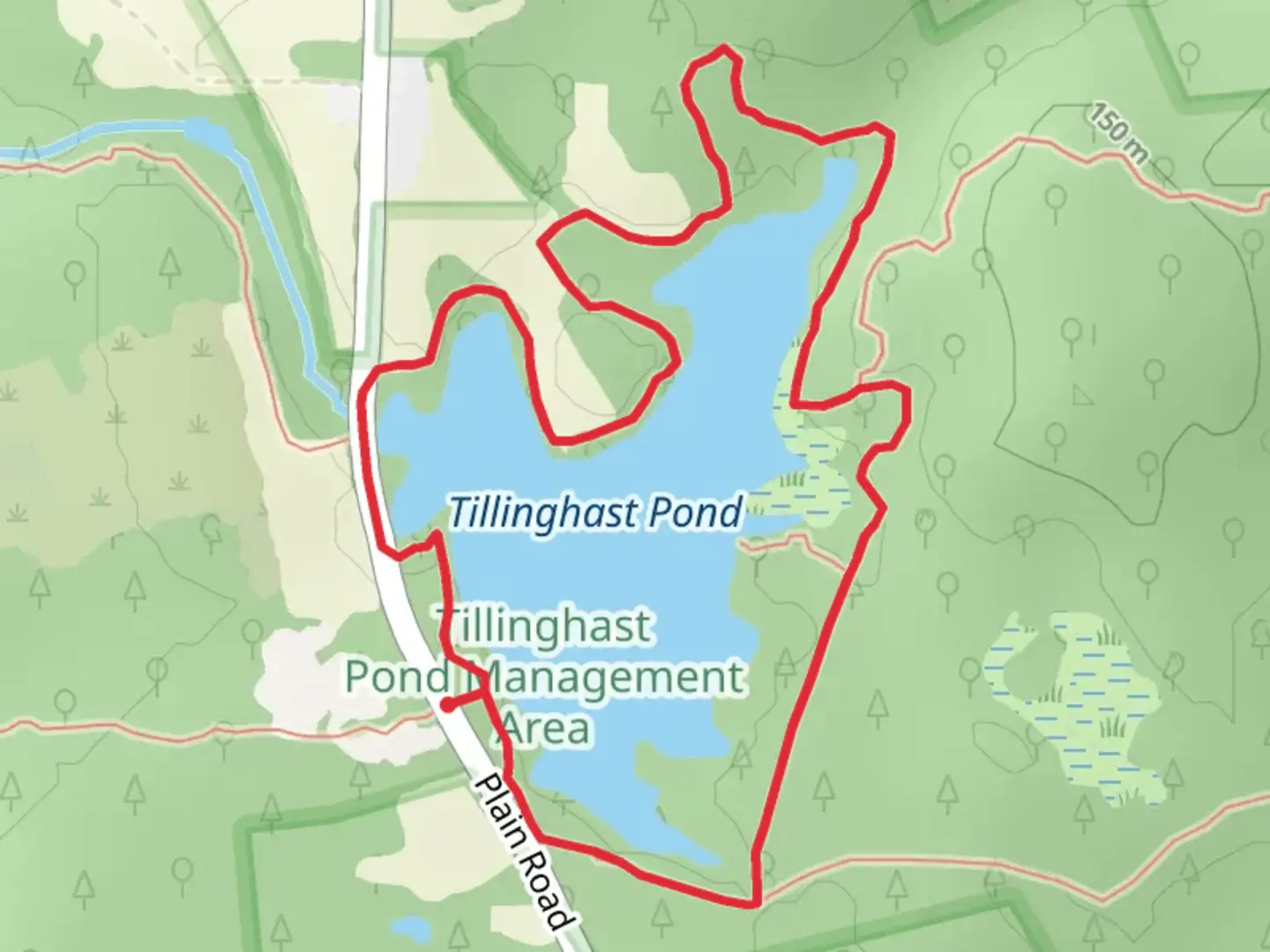 An image depicting the trail Tillinghast Pond Loop Trail and its surrounding area.