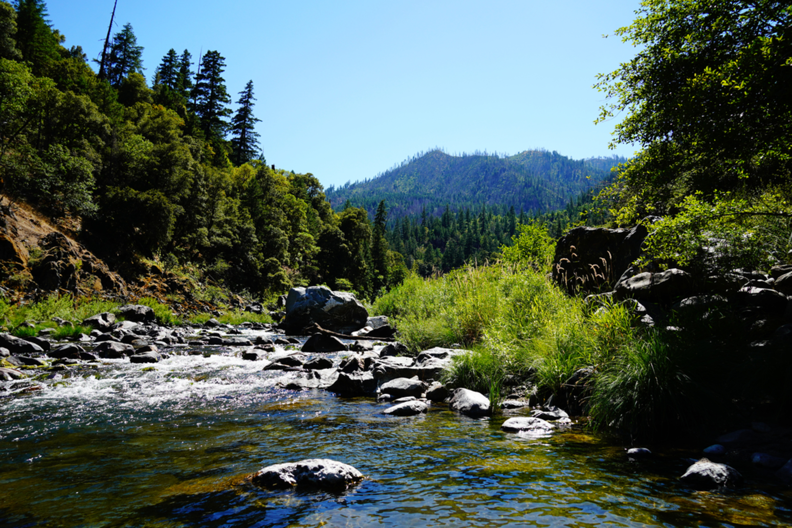 An image depicting the trail Campbell Lake and Cliff Lake via Big Meadows Trail and its surrounding area.