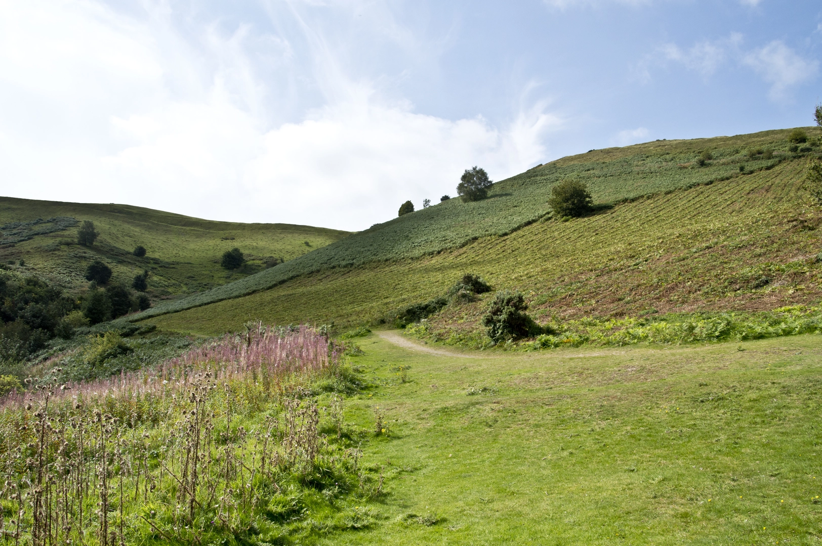 An image depicting the trail Hatfield Coppice, Herefordshire Beacon, Clutter's Cave and Millennium Hill Loop and its surrounding area.